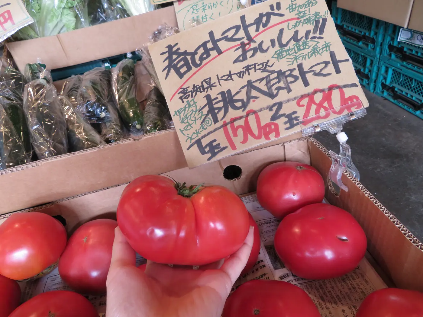 旬八青果店-トマト